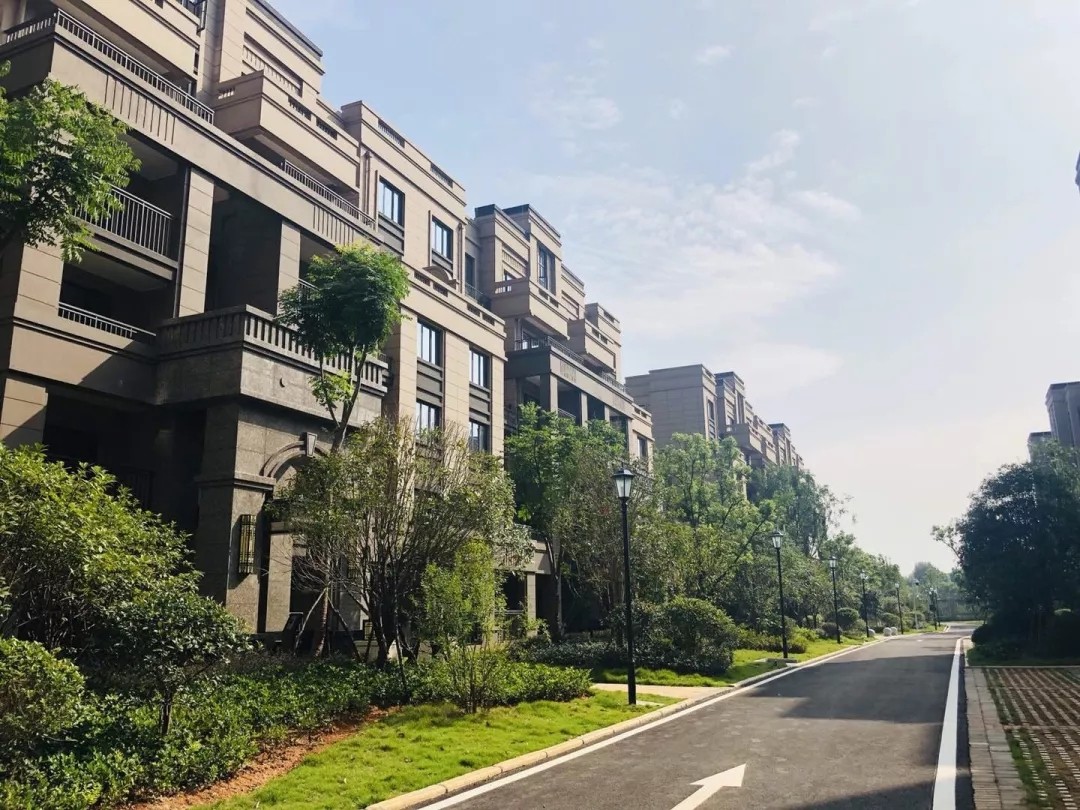 171840153.jpg 8888.webp.jpg